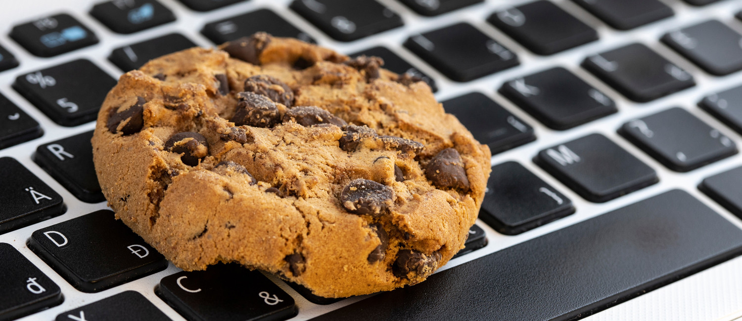 Website Cookie Policy For Hawthorne Plaza Inn